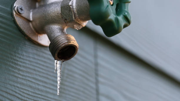 Best Shower Repair Services  in Vega, TX